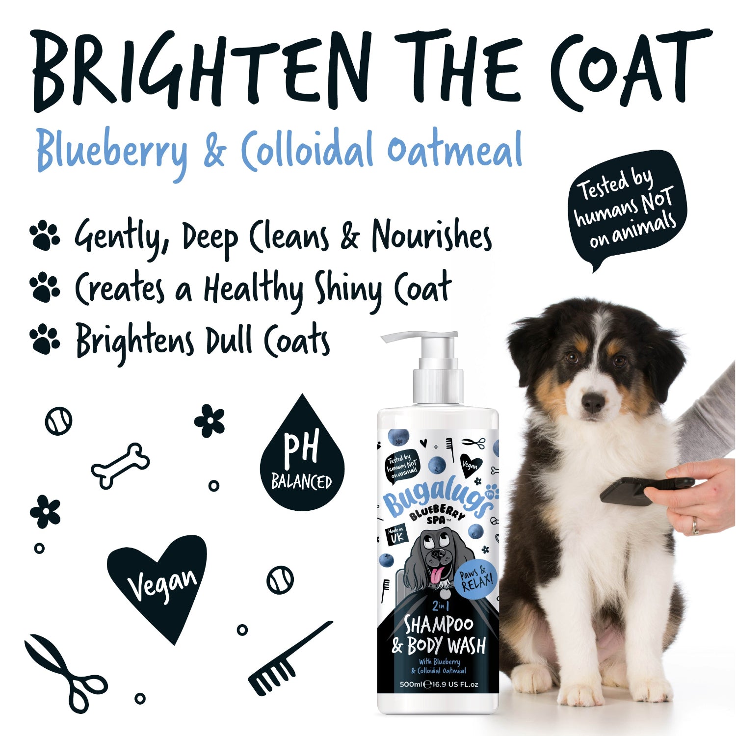 Dog shampoo and body wash with a dog sitting next to it, labeled 'Brighten the Coat' with blueberry and colloidal oatmeal.