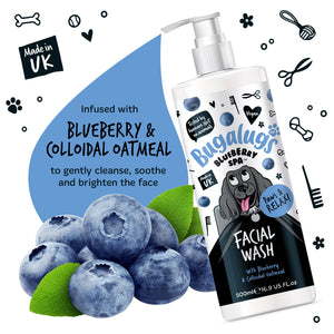 Bugalugs Blueberry & Colloidal Oatmeal facial wash with blueberries and green leaves on a white background.