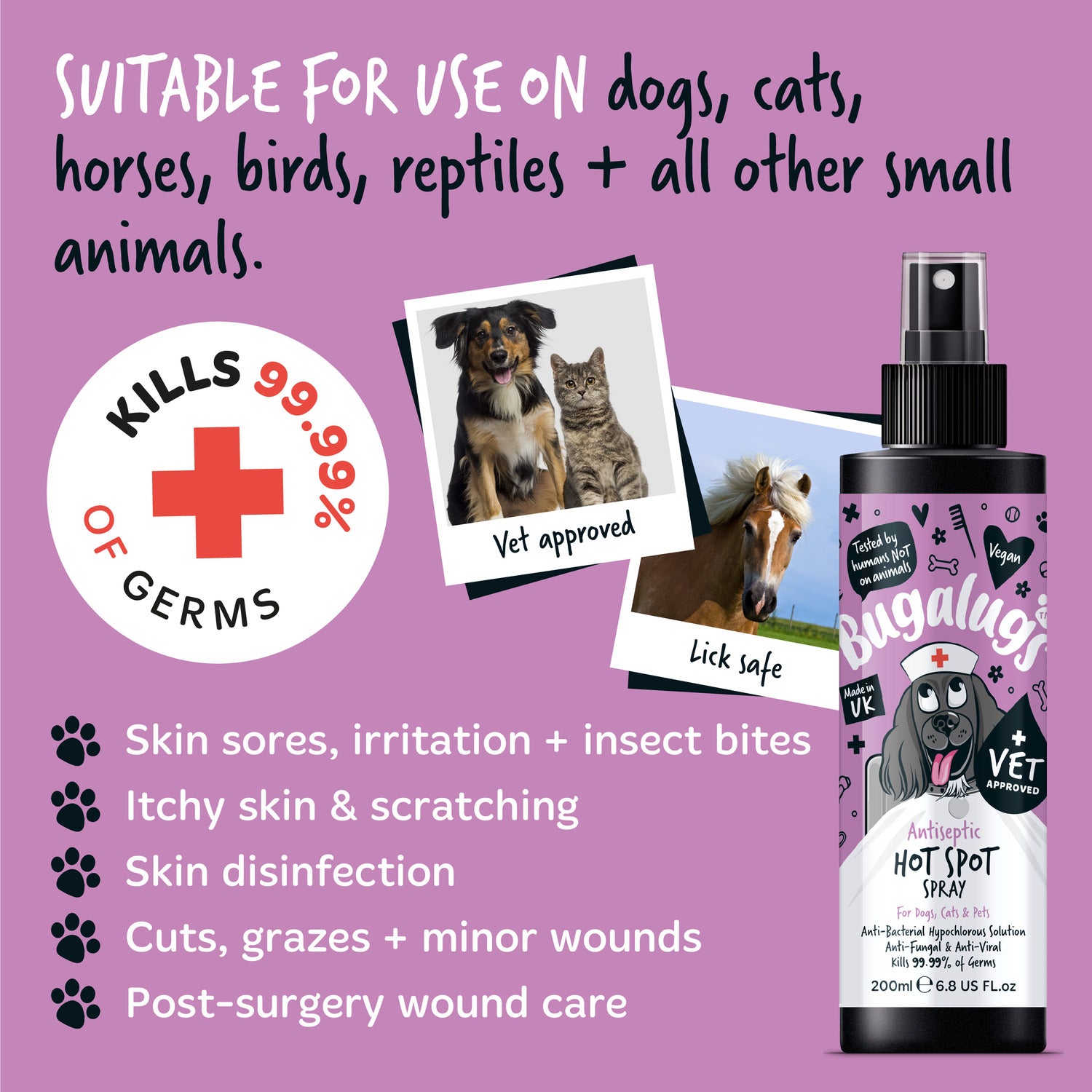 Homemade hot spot spray for dogs best sale