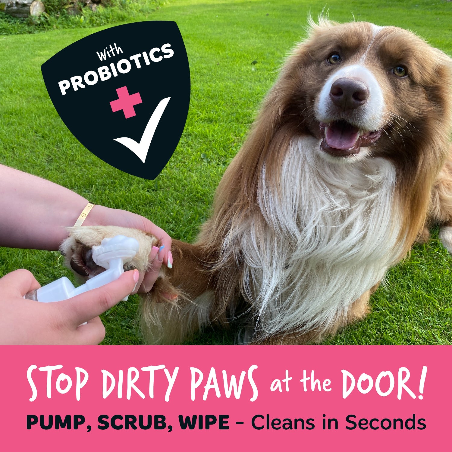 Dog with a paw cleaning product on grass, promoting probiotics for dogs.