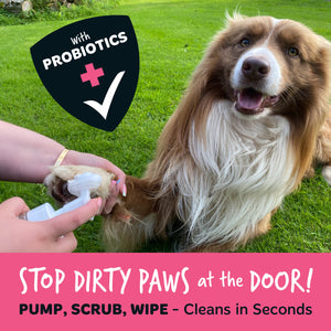 Dog with a paw cleaning product on grass, promoting probiotics for dogs.