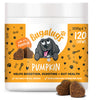 Pumpkin Supplement Chews for Dogs