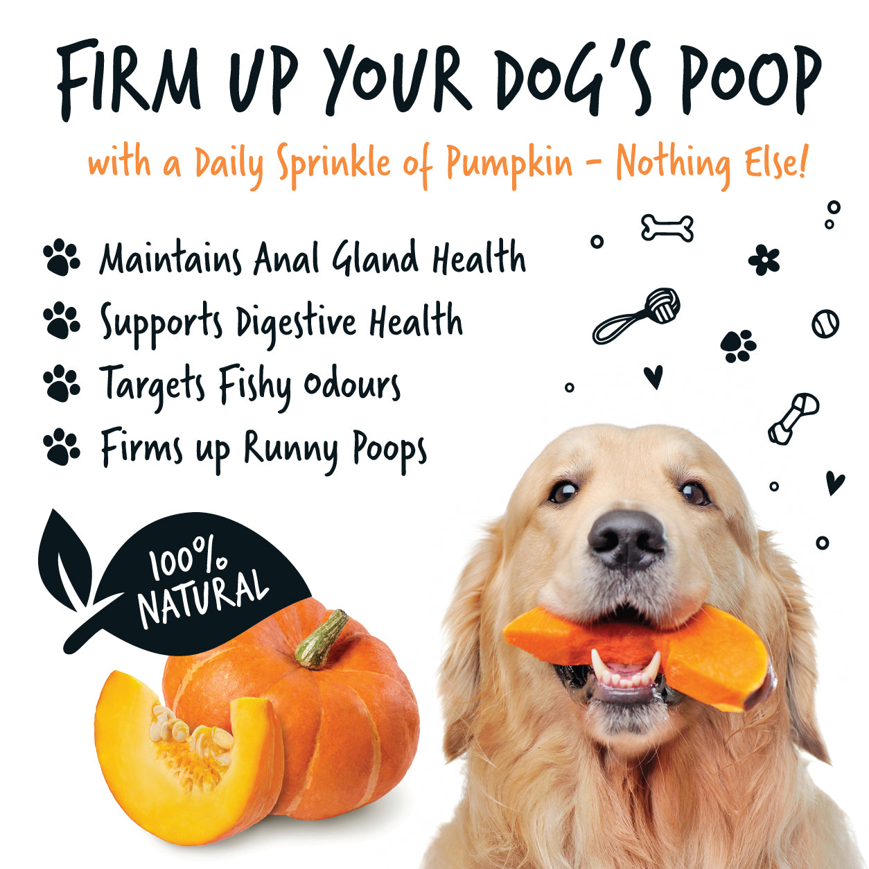 Remedies How Much Pumpkin Do I Give My Dog For Constipation