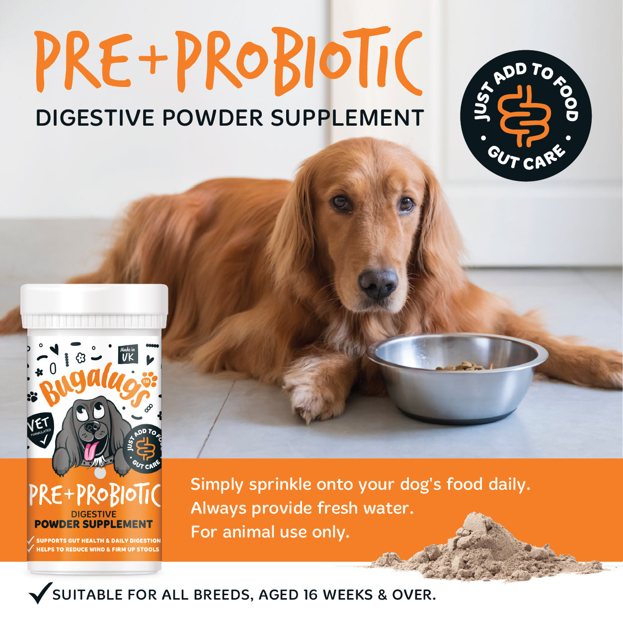 Pre Probiotic Digestive Supplement for Dogs 80g Spoon