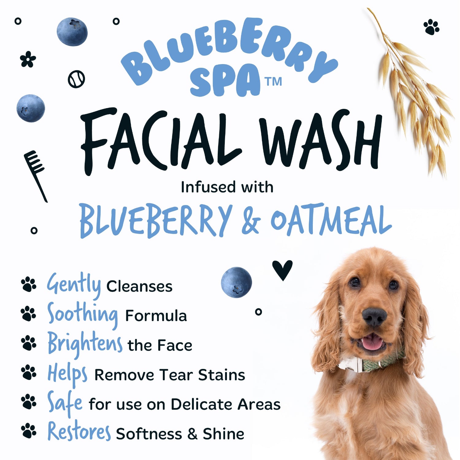 Advertisement for Blueberry Spa Facial Wash with a dog and product details on a white background