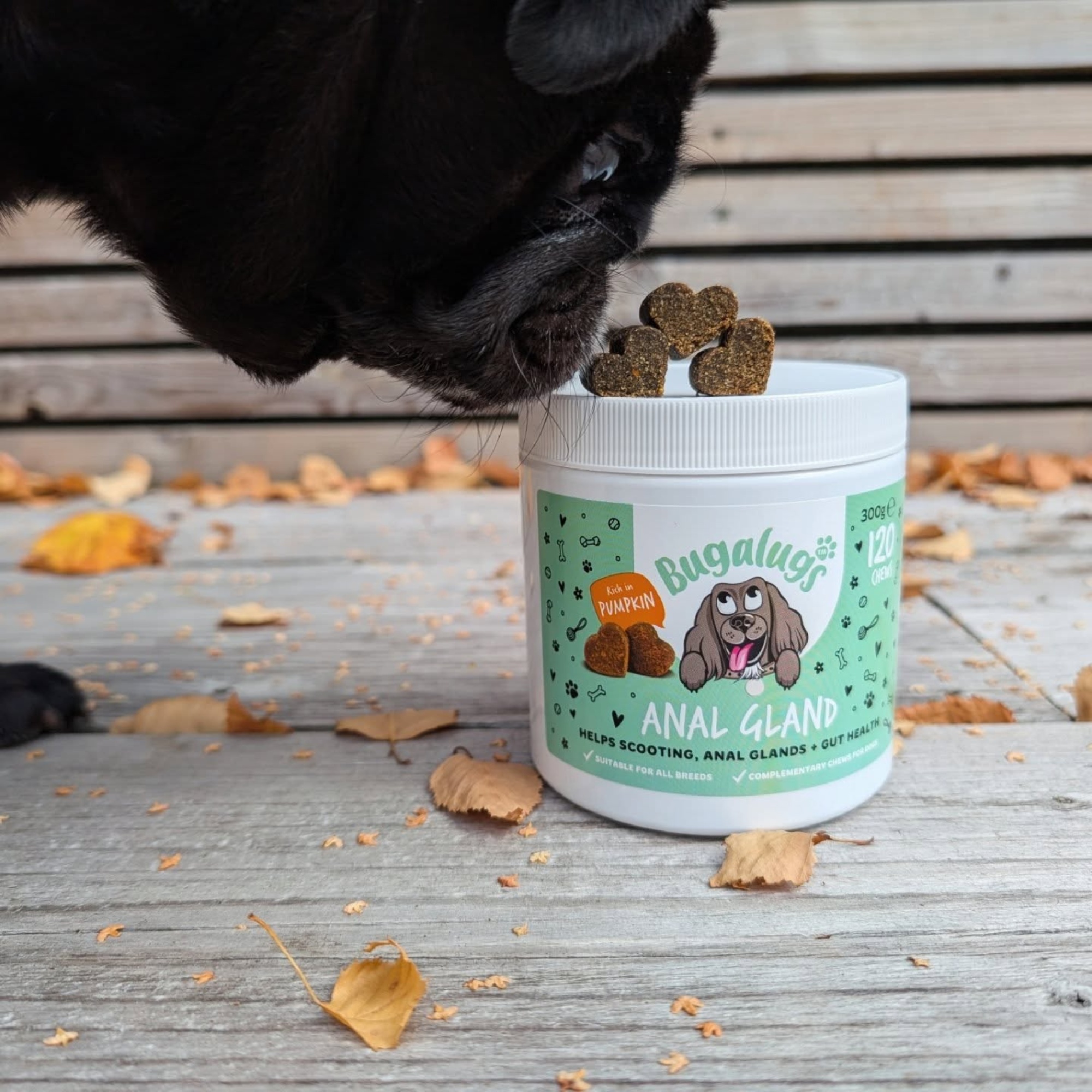 Anal Gland Supplement Chews for Dogs