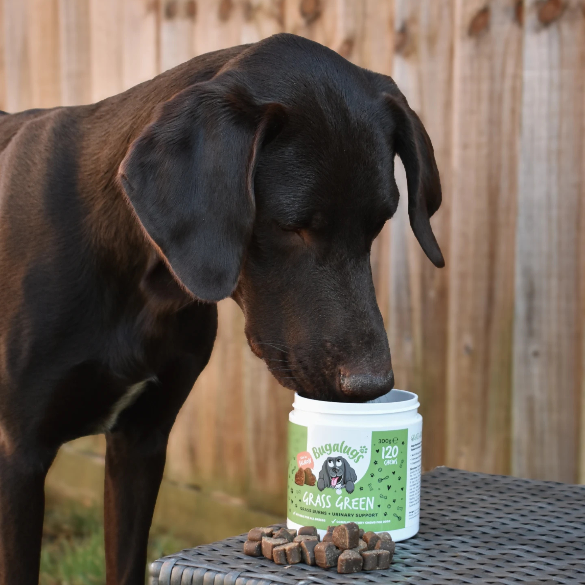Grass Green Supplement Chews for Dogs