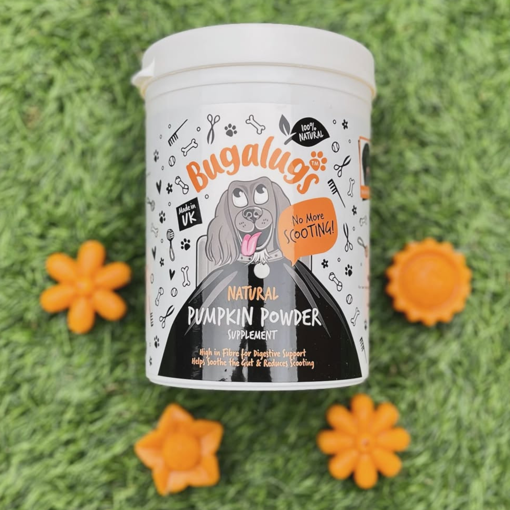Pumpkin Powder Supplement for Dogs (200g)