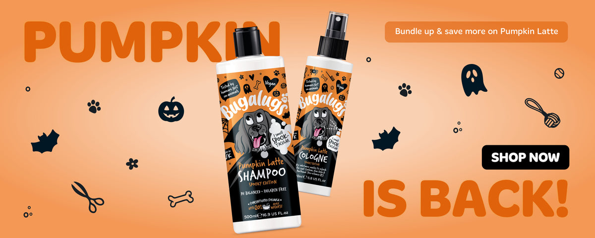 Bugalugs Pumpkin Latte Dog Shampoo For Dogs