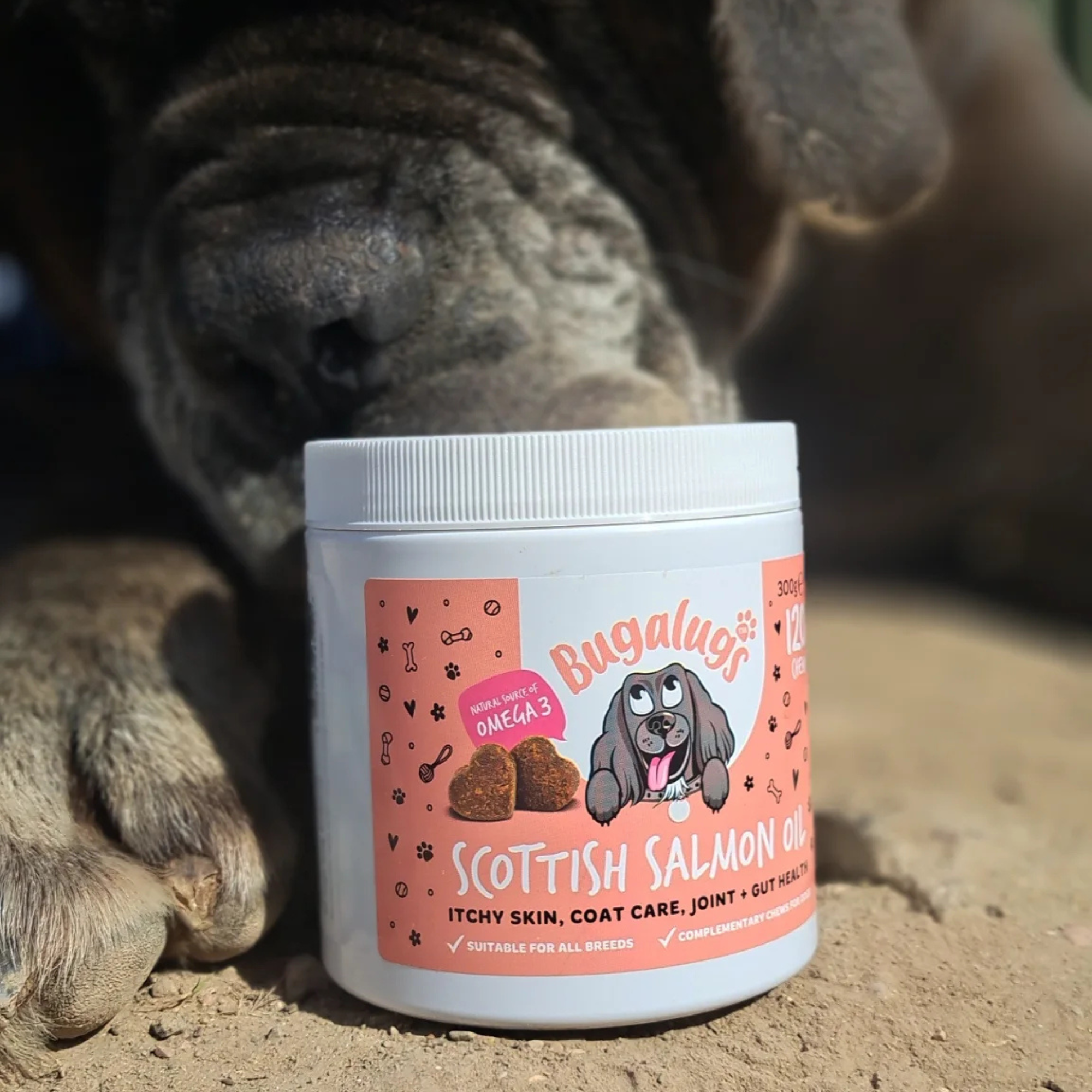 Scottish Salmon Oil Supplement Chews for Dogs