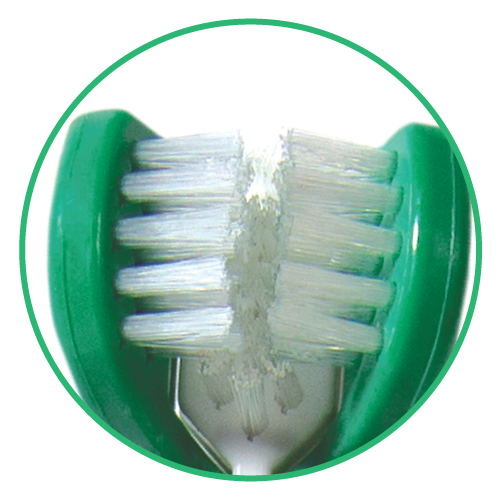 Soft pet tooth brush bristles