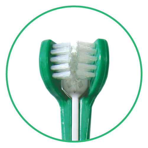 Triple Sided Pet Toothbrush Head