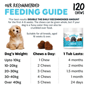 Vision chews for dogs feeding guide showing recommended daily serving by dog weight.