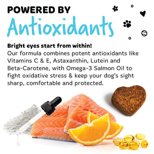 Promotional graphic for a dog supplement or food product. The text reads 'POWERED BY Antioxidants' and describes antioxidants and Omega-3 salmon oil for a dog's eyes.