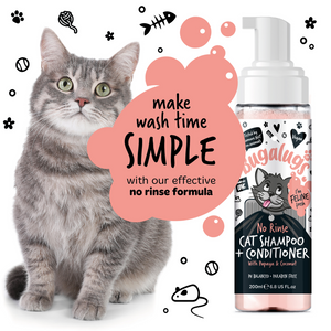 No rinse cat shampoo best sale