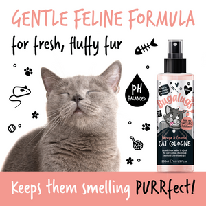 Bugalugs Papaya and Coconut Cat Cologne - Gentle feline formula for fresh fluffy fur