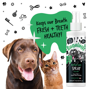 Bugalugs Dental Care Spray - Keeps our breath fresh and teeth healthy