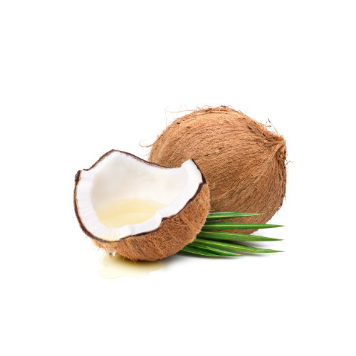 Coco-Glucoside Benefits For Dogs