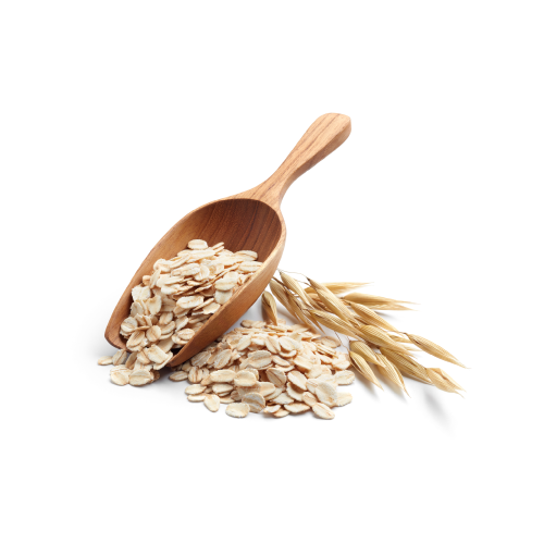 Colloidal oatmeal benefits for dogs