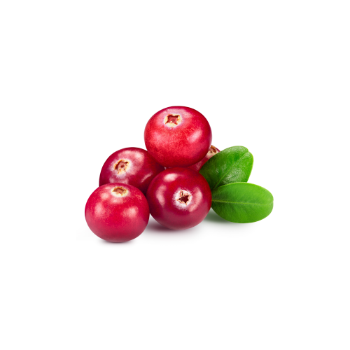 Cranberry Benefits For Dogs