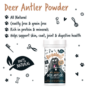 Bugalugs 100% Natural Deer Antler Powder Supplement for Dogs - 70g Pot - Key benefits