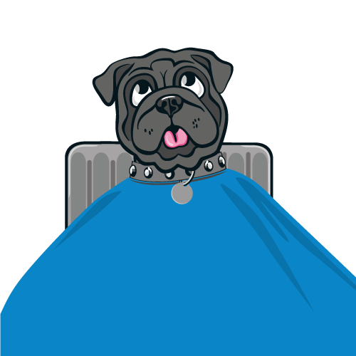 Designed for Bulldogs & Frenchies