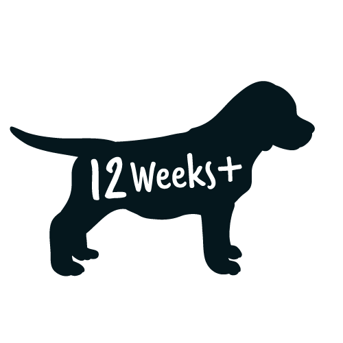 For dogs 12 weeks and over