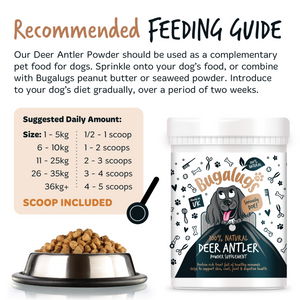 Bugalugs 100% Natural Deer Antler Powder Supplement for Dogs - 200g Pot - Recommended feeding guide