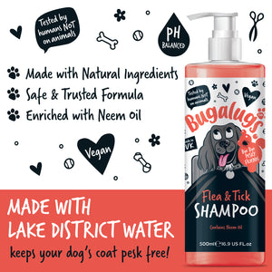 Bugalugs Flea and Tick Shampoo for Dogs - Made with lake District water