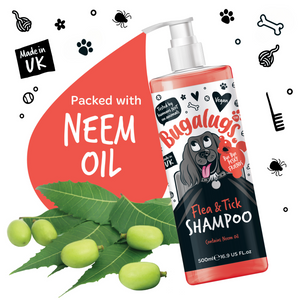 Bugalugs Flea and Tick Shampoo for Dogs - Packed with neem oil