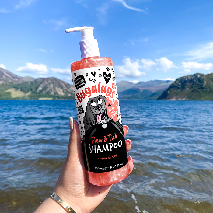 Flea & Tick Dog Shampoo in Lake District