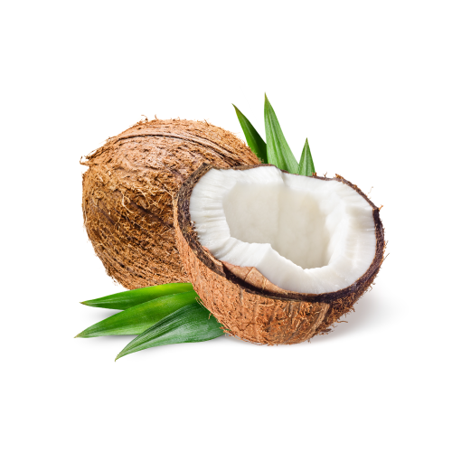 Coconut Ingredient