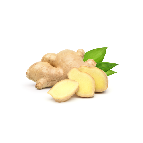 Ginger Benefits For Pets