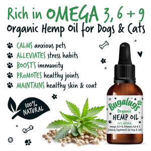Bugalugs Organic Hemp Oil - Key benefits for dogs and cats