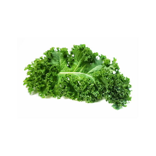 Kale Leaf Benefits