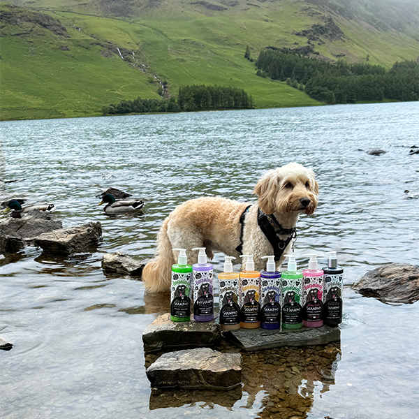 Lake District Dog Shampoo