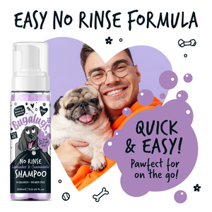 Bugalugs No Rinse Lavender and Chamomile Shampoo for Dogs - Easy no rinse forumla