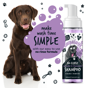 Bugalugs No Rinse Lavender and Chamomile Shampoo for Dogs - Make wash time simple with our easy to use no rinse formula