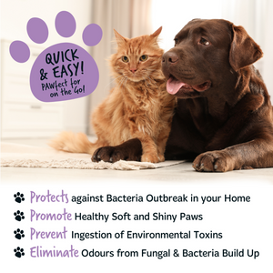 Bugalugs No Rinse Lavender and Chamomile Paw Cleaner - Protects, promote, prevent and eliminate