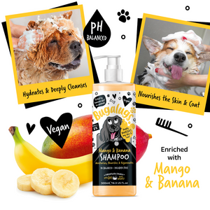 Bugalugs Mango and Banana Shampoo for Dogs - Enriched with mango and banana