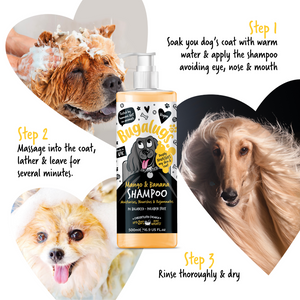 Bugalugs Mango and Banana Shampoo for Dogs - How to use - 3 Steps