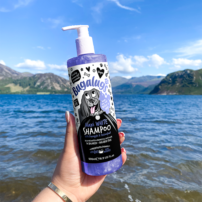 Maxi white Shampoo in Lake District