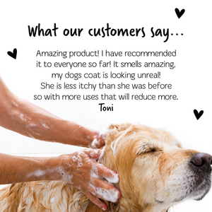 Bugalugs Medi Fresh Dog Shampoo with Tea Tree and Oatmeal - customer testimonial