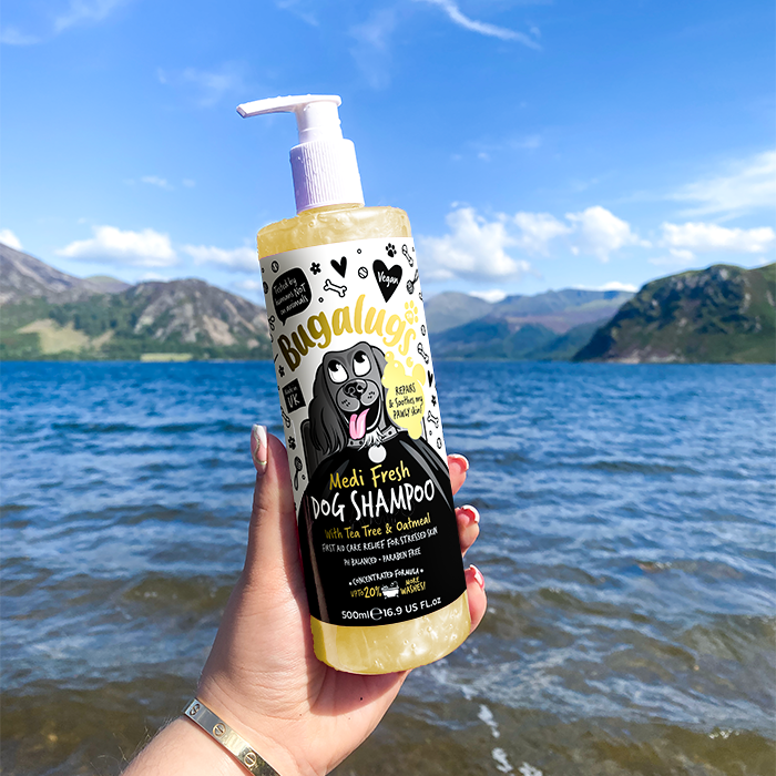 Medi Fresh Dog Shampoo in Lake District