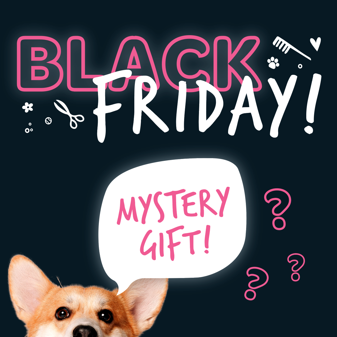 Black Friday FREE Mystery Gift