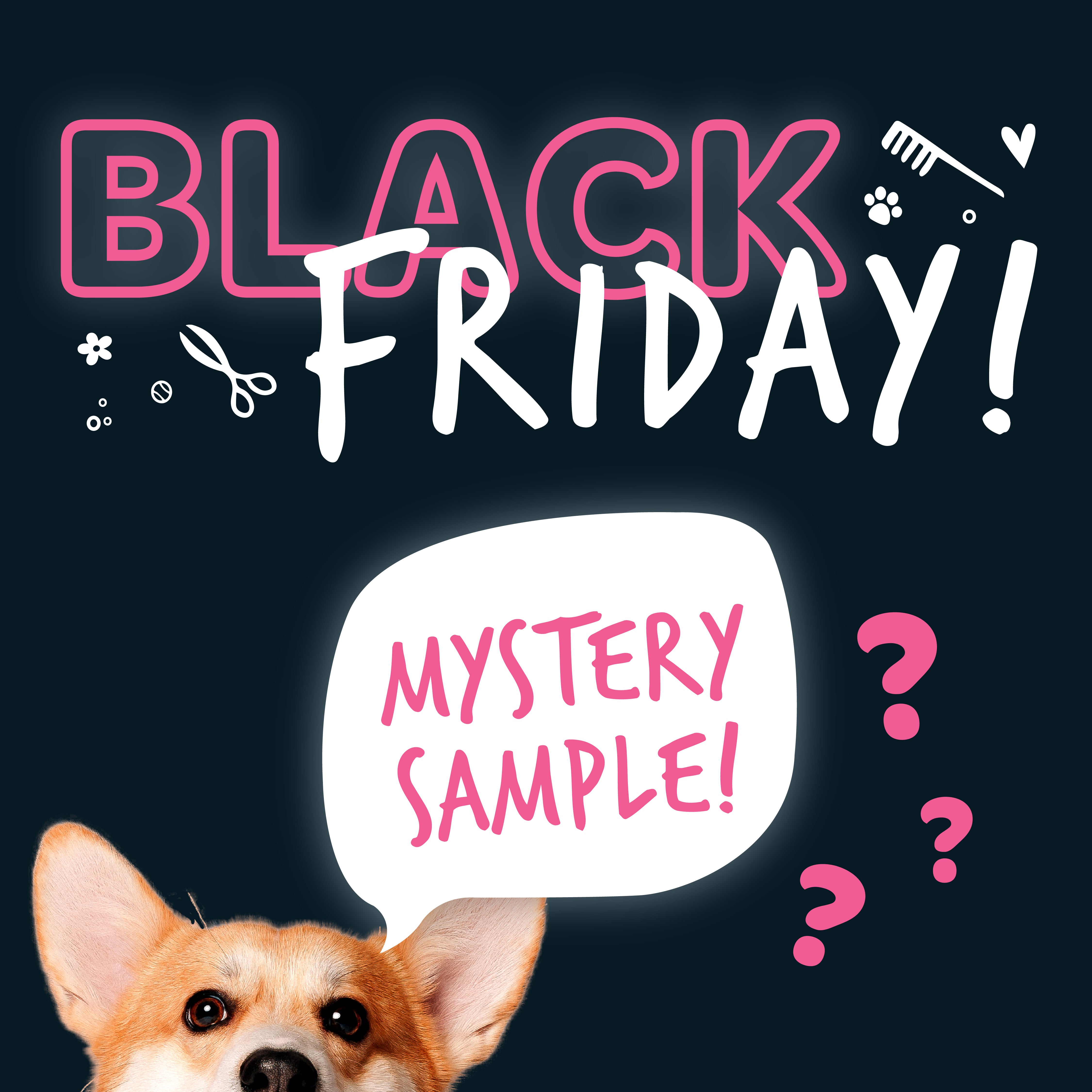 Black Friday FREE Sample