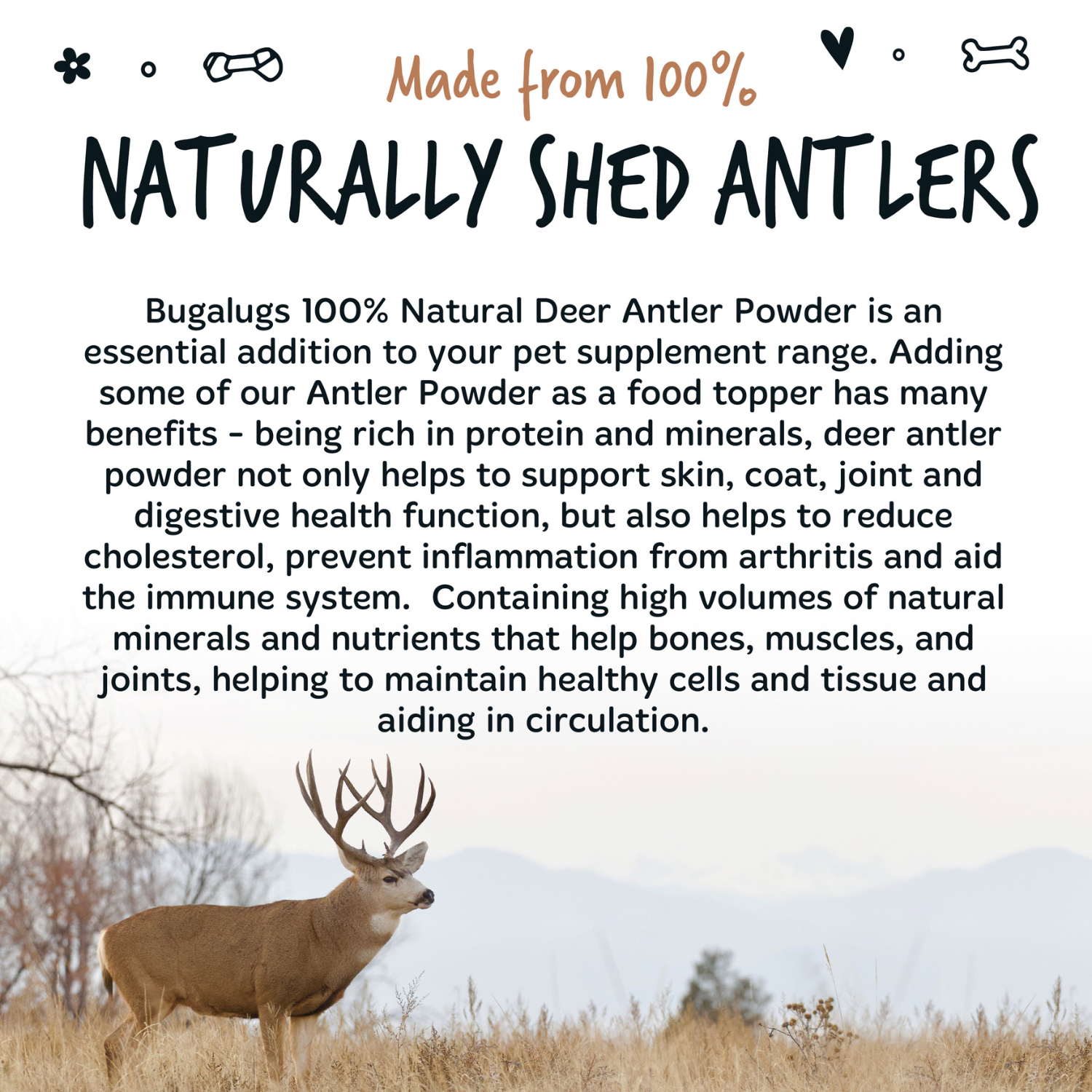 Bugalugs 100% Natural Deer Antler Powder Supplement for Dogs - 70g Pot - Made from 100% naturally shed antlers