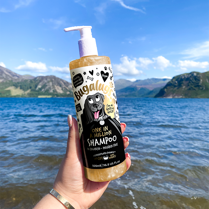 One in a Million Dog Shampoo in Lake District