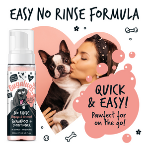 Bugalugs No Rinse Papaya and Coconut Shampoo and Conditioner for Dogs - Quick and easy, pawfect for on the go