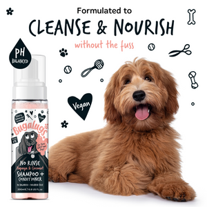 Bugalugs No Rinse Papaya and Coconut Shampoo and Conditioner for Dogs - Formulated to cleanse and nourish without the fuss